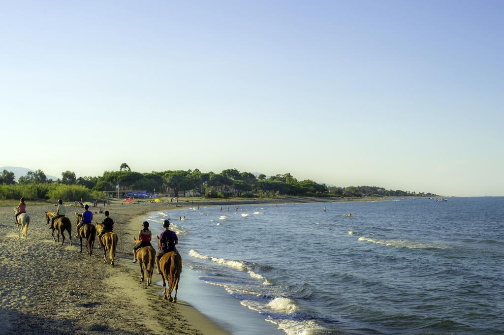 Vakantiepark Le Village Des Isles